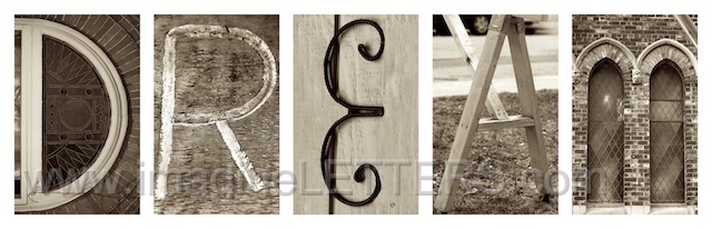 Wall_Art_Alphabet_Photography_Art_ 490.jpg